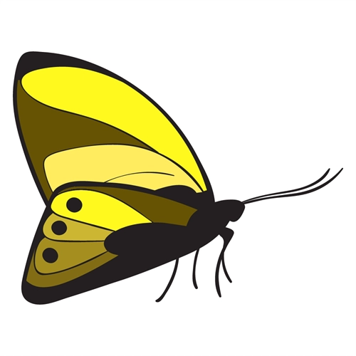 Butterfly Theme Yellow and Brown Butterfly Transparent Sticker